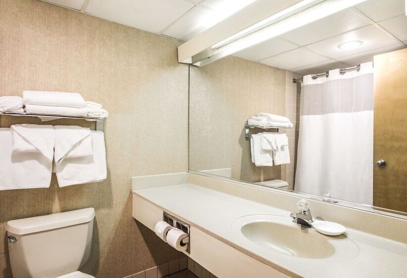 غرفة قياسية, Lodge Of The Ozarks