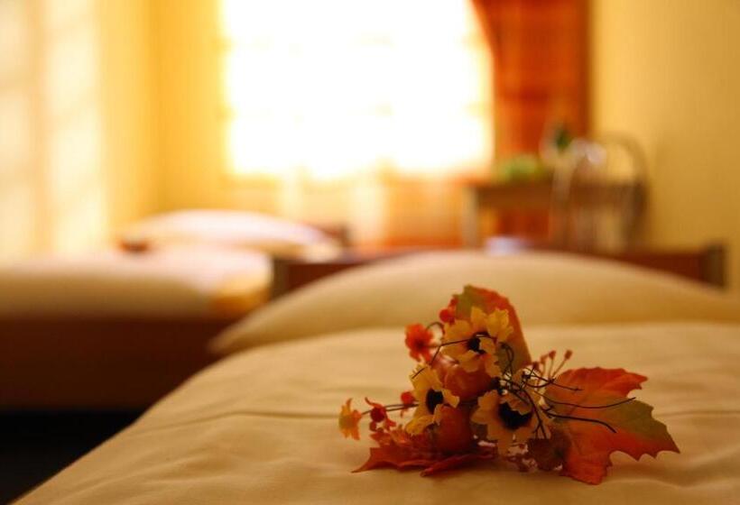 اتاق استاندارد, Insor