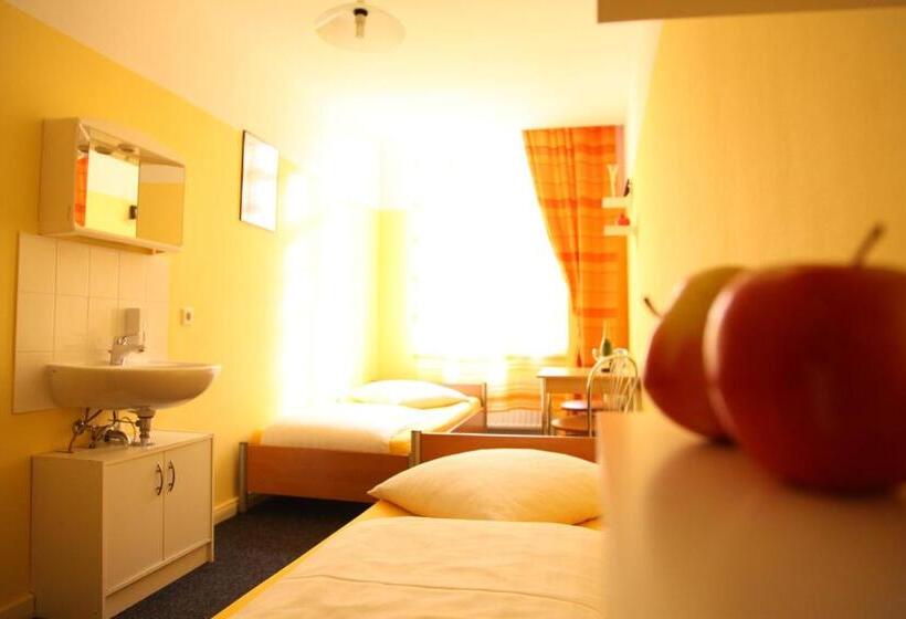 اتاق استاندارد, Insor