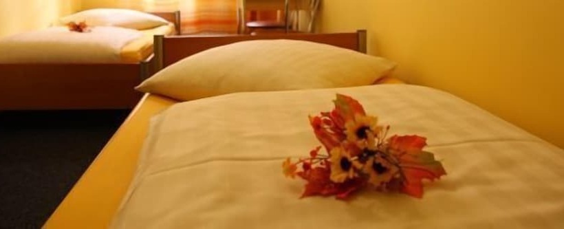 اتاق استاندارد یک تخته با سرویس بهداشتی مشترک, Insor