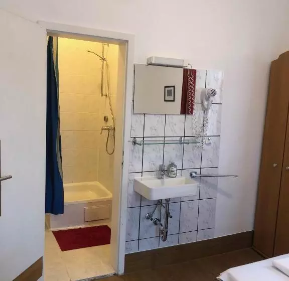 Standard Yhden Hengen Huone Jaettu Kylpyhuone, Pension Schmellergarten
