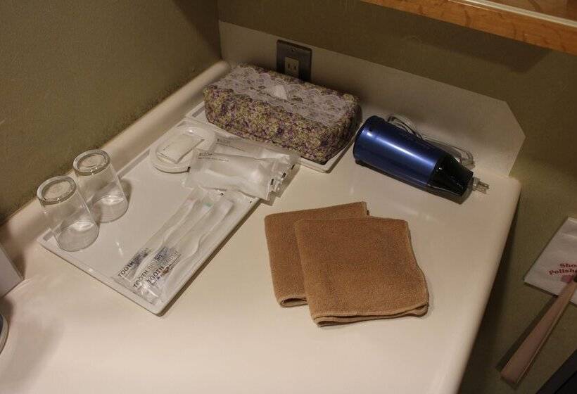 スタンダードルーム, 碧の美ゆゆaonobi Yuyu旧湯元白金温泉ホテル