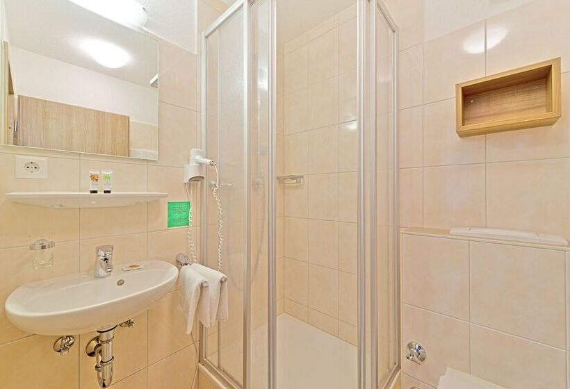 חדר סטנדרט, Sapia Hotel St. Fridolin