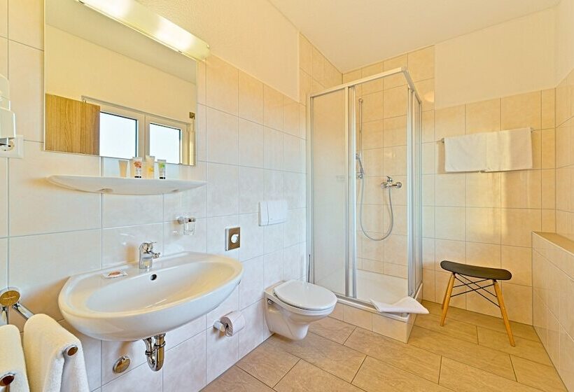 חדר קומפורט, Sapia Hotel St. Fridolin