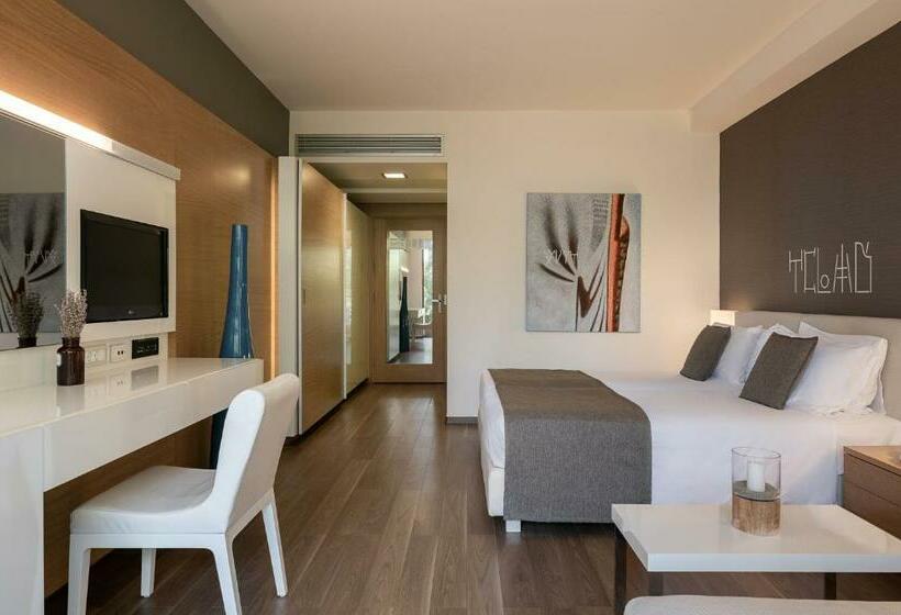 חדר דלוקס נוף לגינה, Avra Imperial