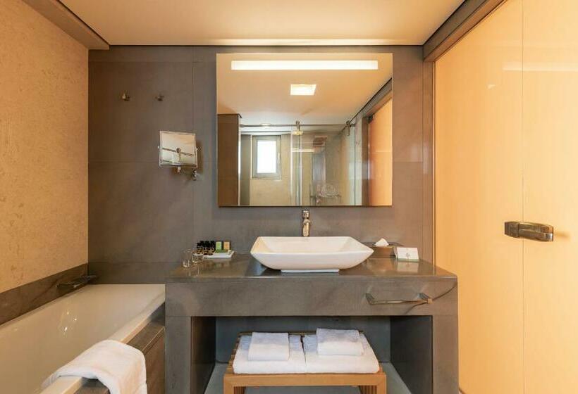 חדר דלוקס נוף לגינה, Avra Imperial