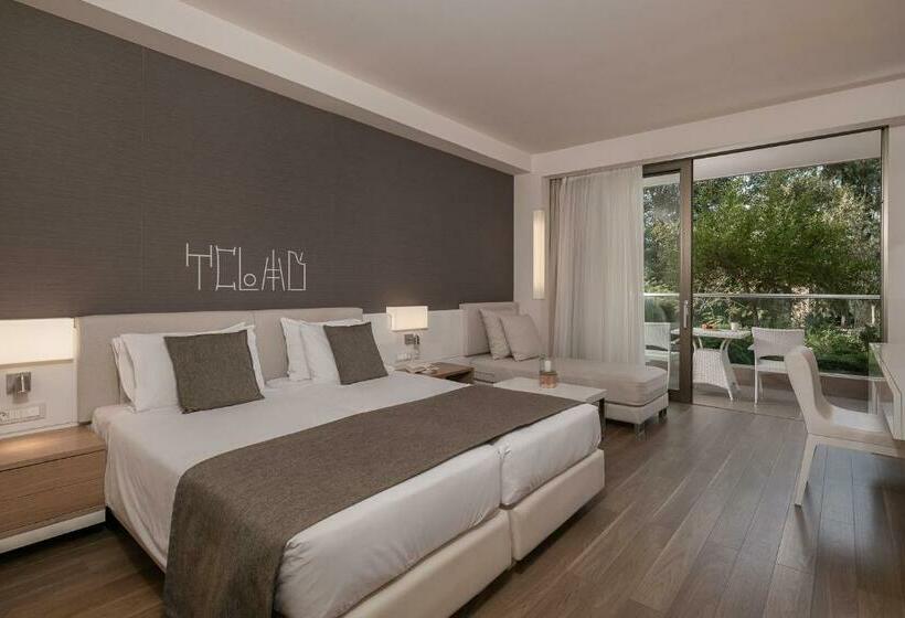 חדר דלוקס נוף לגינה, Avra Imperial