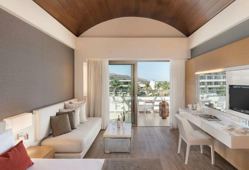 חדר דלוקס נוף בריכה, Avra Imperial