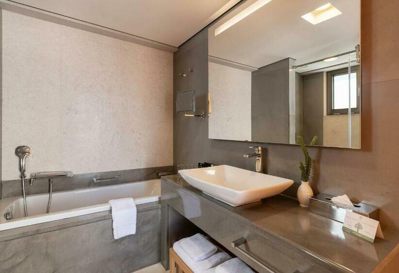 חדר דלוקס נוף בריכה, Avra Imperial