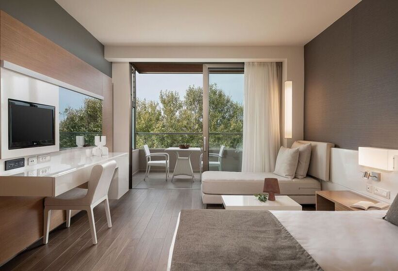 חדר דלוקס נוף לגינה, Avra Imperial