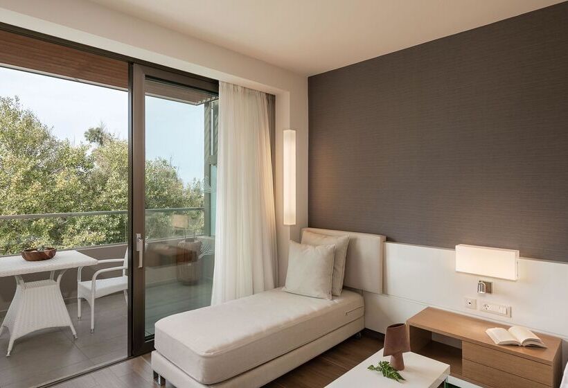 חדר דלוקס נוף לגינה, Avra Imperial