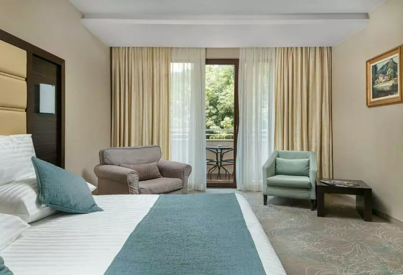 Deluxe-huone, Pirin Park