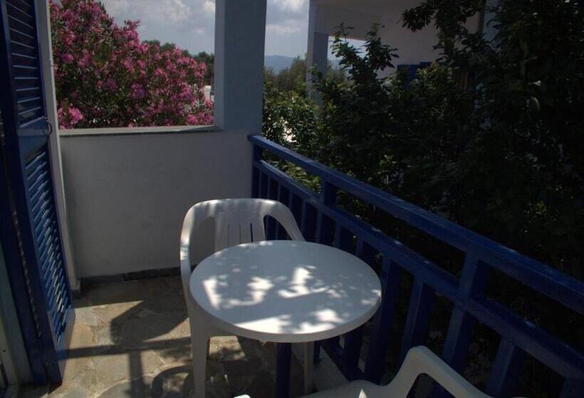 Номер Стандарт, Sofia