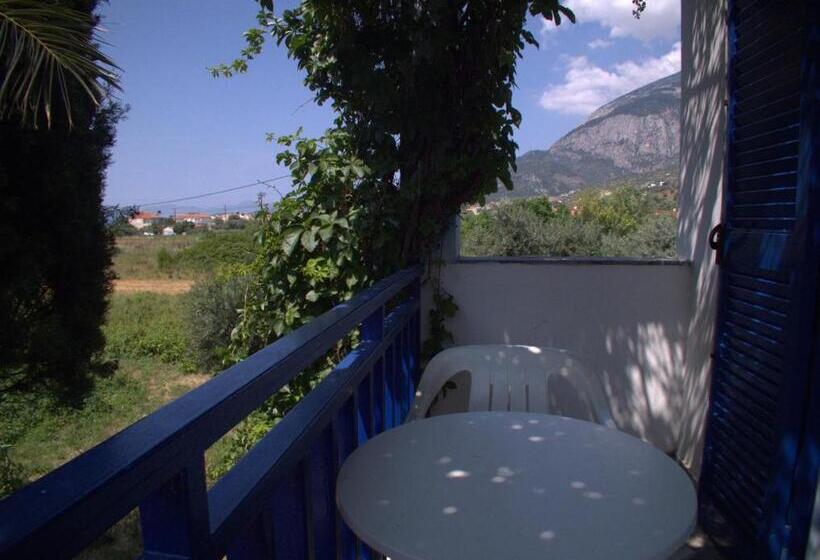 Номер Стандарт, Sofia