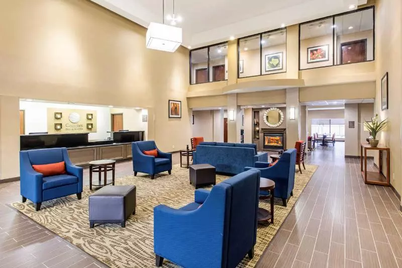 اتاق استاندارد با تخت بزرگ, Comfort Inn & Suites Iah Bush Airport – East