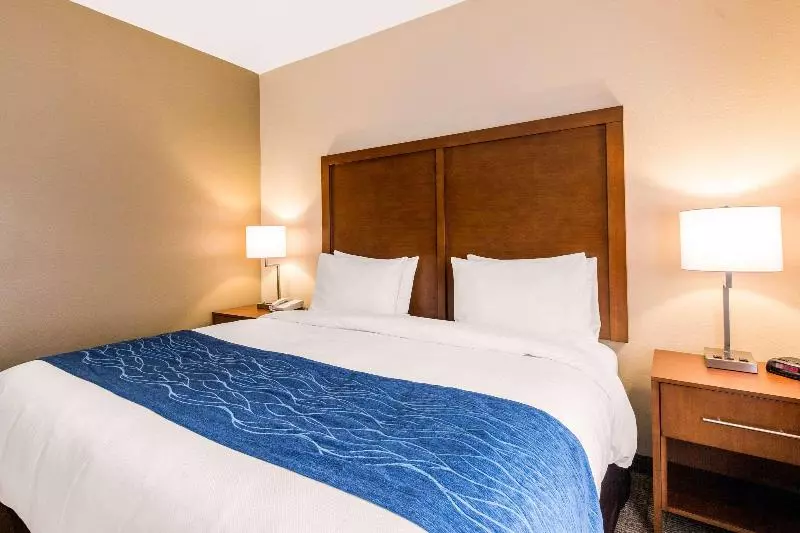 اتاق استاندارد با تخت بزرگ, Comfort Inn & Suites Iah Bush Airport – East