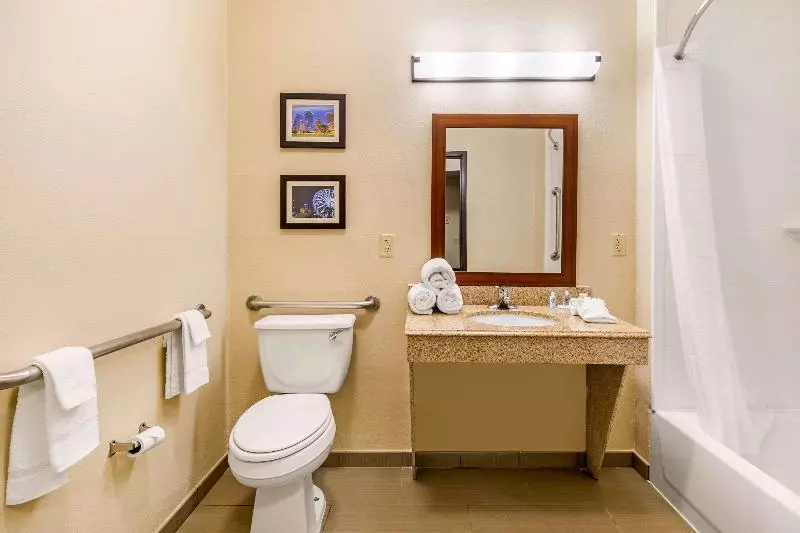 اتاق استاندارد با تخت بزرگ, Comfort Inn & Suites Iah Bush Airport – East
