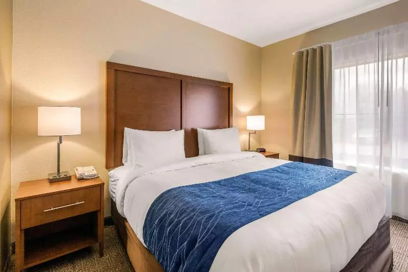 اتاق استاندارد با تخت بزرگ, Comfort Inn & Suites Iah Bush Airport – East