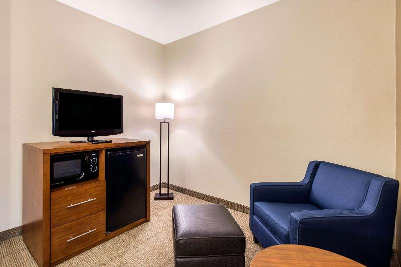 스탠다드 룸 킹사이즈 침대, Comfort Inn & Suites Iah Bush Airport – East