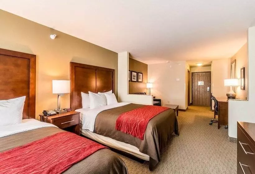 スイート, Comfort Inn & Suites