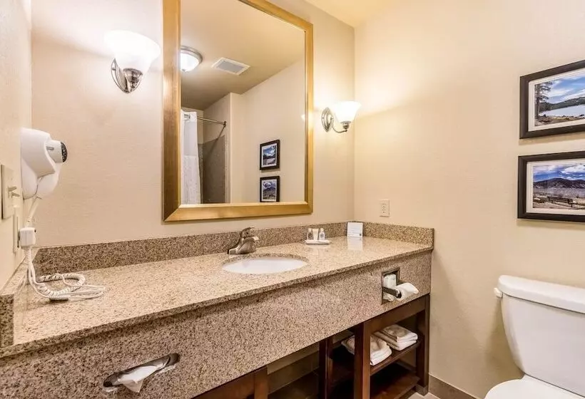 スイート, Comfort Inn & Suites