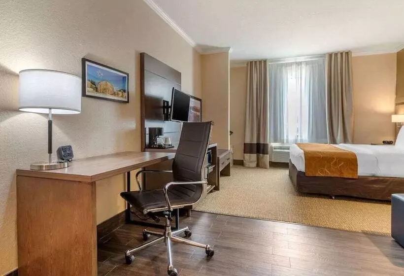 スイート, Comfort Suites Baytown I   10