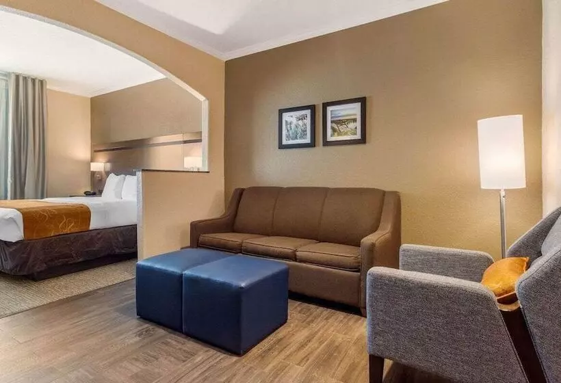 スイート, Comfort Suites Baytown I   10