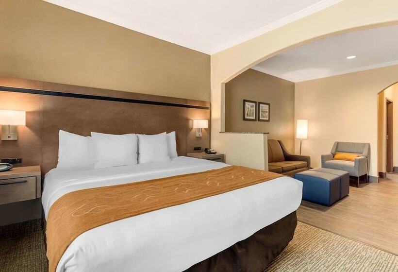 Люкс, Comfort Suites Baytown I   10