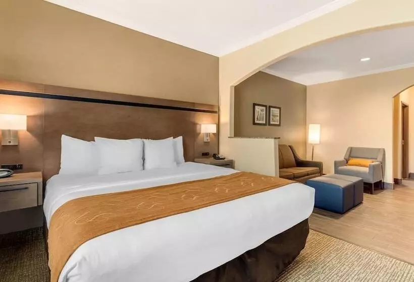 スイート, Comfort Suites Baytown I   10