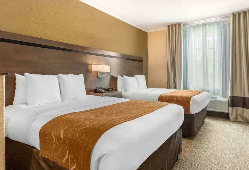 סוויטה, Comfort Suites Baytown I   10