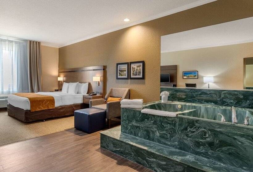 Люкс, Comfort Suites Baytown I   10
