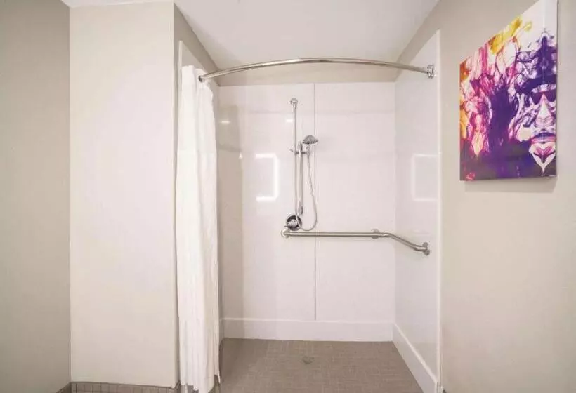 身障者適用キングサイズベッドルーム, La Quinta By Wyndham Chattanooga North   Hixson
