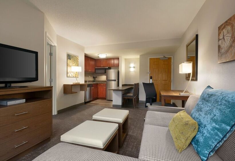 スイート, Staybridge Suites Tampa East  Brandon, An Ihg