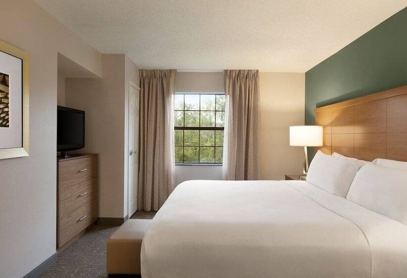 جناح, Staybridge Suites Tampa East  Brandon, An Ihg