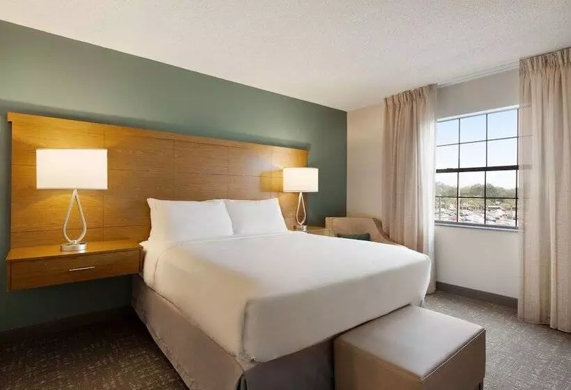 ２ベッドスイートルーム, Staybridge Suites Tampa East  Brandon, An Ihg