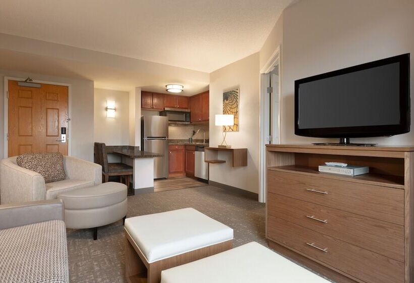 غرفة قياسية لذوى الاحتياجات الخاصة, Staybridge Suites Tampa East  Brandon, An Ihg
