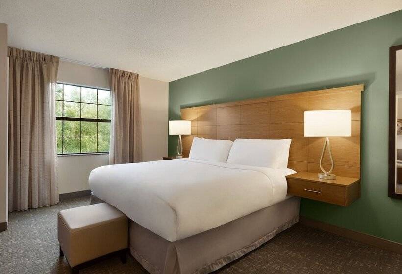 身障者適用スタンダードルーム, Staybridge Suites Tampa East  Brandon, An Ihg