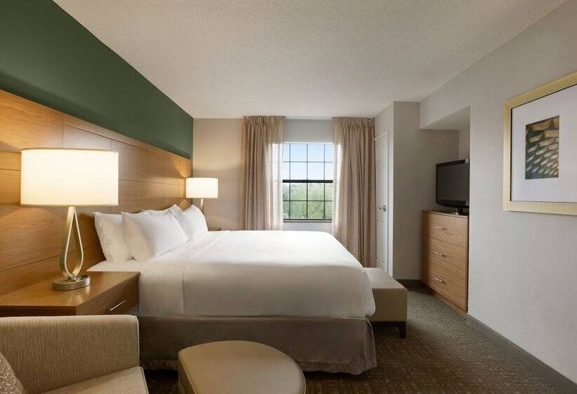 غرفة قياسية لذوى الاحتياجات الخاصة, Staybridge Suites Tampa East  Brandon, An Ihg
