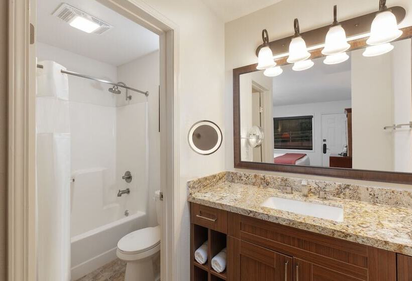 1 Bedroom Deluxe Villa