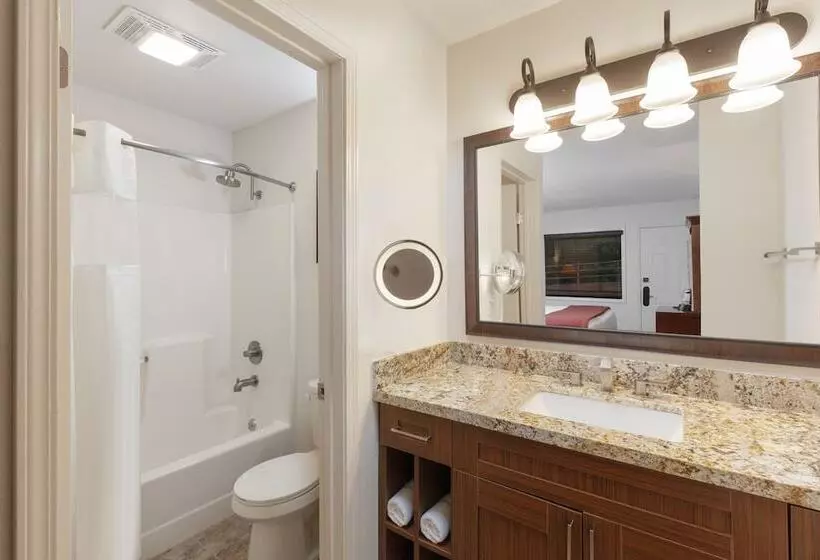 1 Bedroom Deluxe Villa