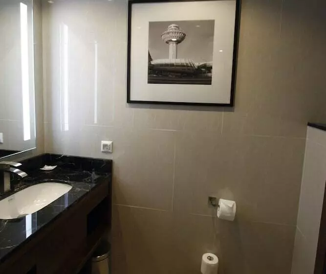 Camera Superiore, Radisson Blu Hotel Yerevan