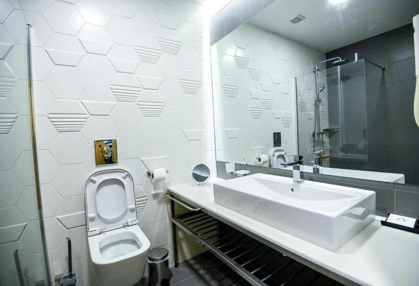 اتاق استاندارد, Park Shtip