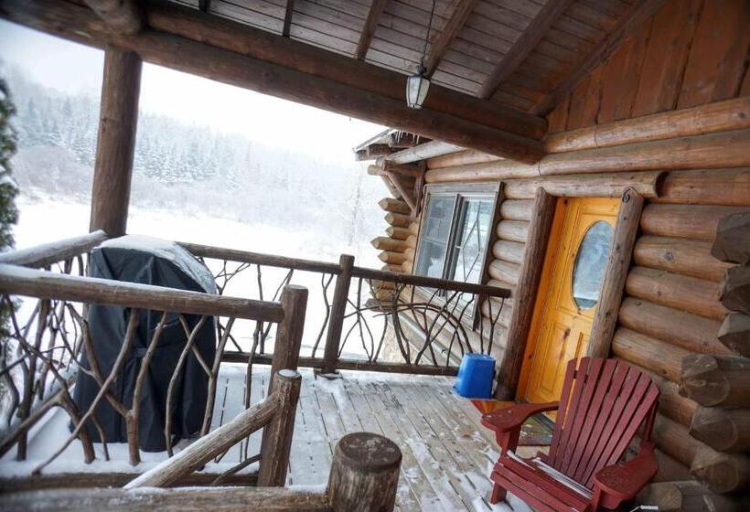 شقة بغرفة نوم واحدة, Ampersand Bay Resort