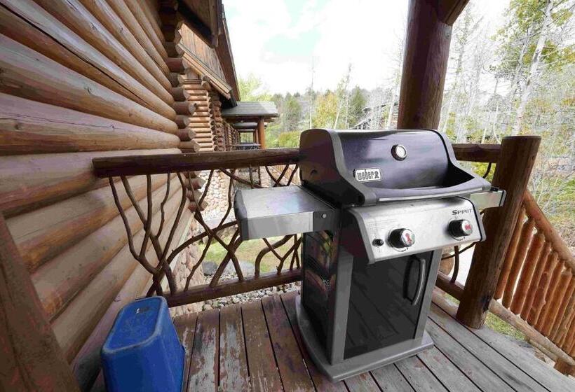 إستوديو قياسى مزودة بتراس, Ampersand Bay Resort