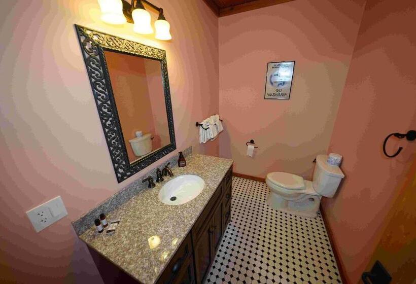 شقة بغرفة نوم واحدة, Ampersand Bay Resort