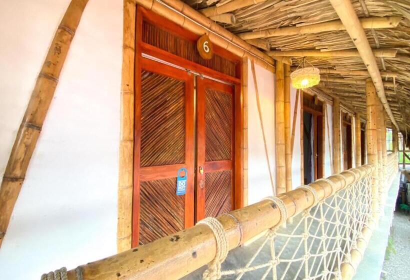 バルコニー付きスタンダードルーム, Rincón Del Mar Palomino