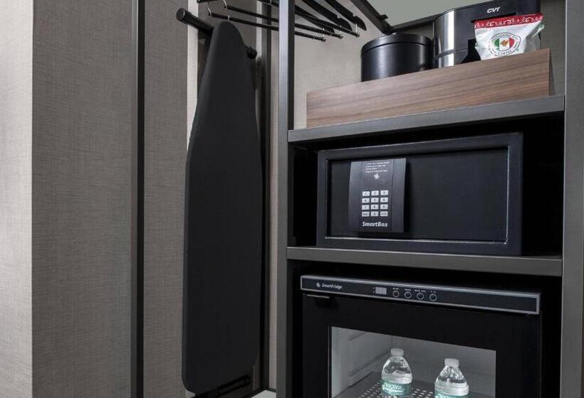 اتاق استاندارد برای معلولان, Ac Hotel By Marriott St Louis Central West End