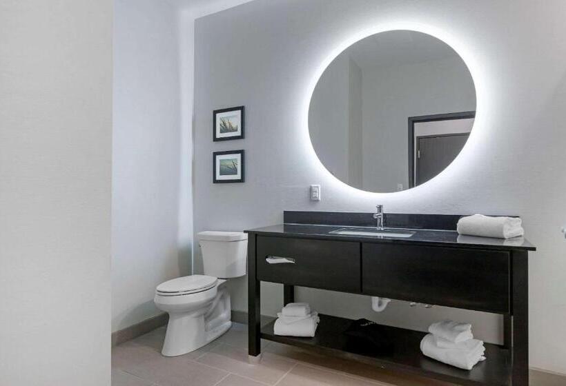 جناح سرير كينج, Comfort Inn & Suites Adrian