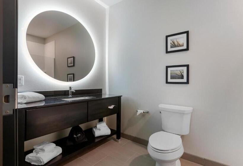 جناح سرير كينج, Comfort Inn & Suites Adrian