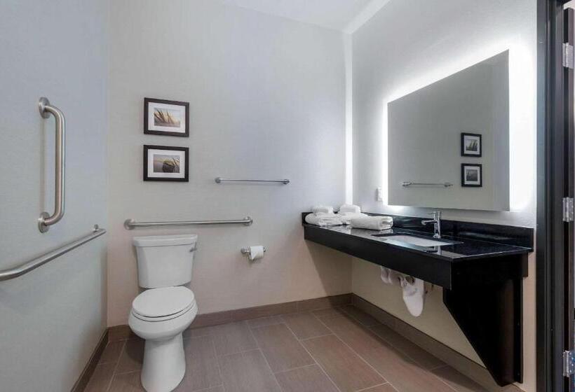 غرفة قياسية سرير كينج لذوى الإحتياجات الخاصة, Comfort Inn & Suites Adrian